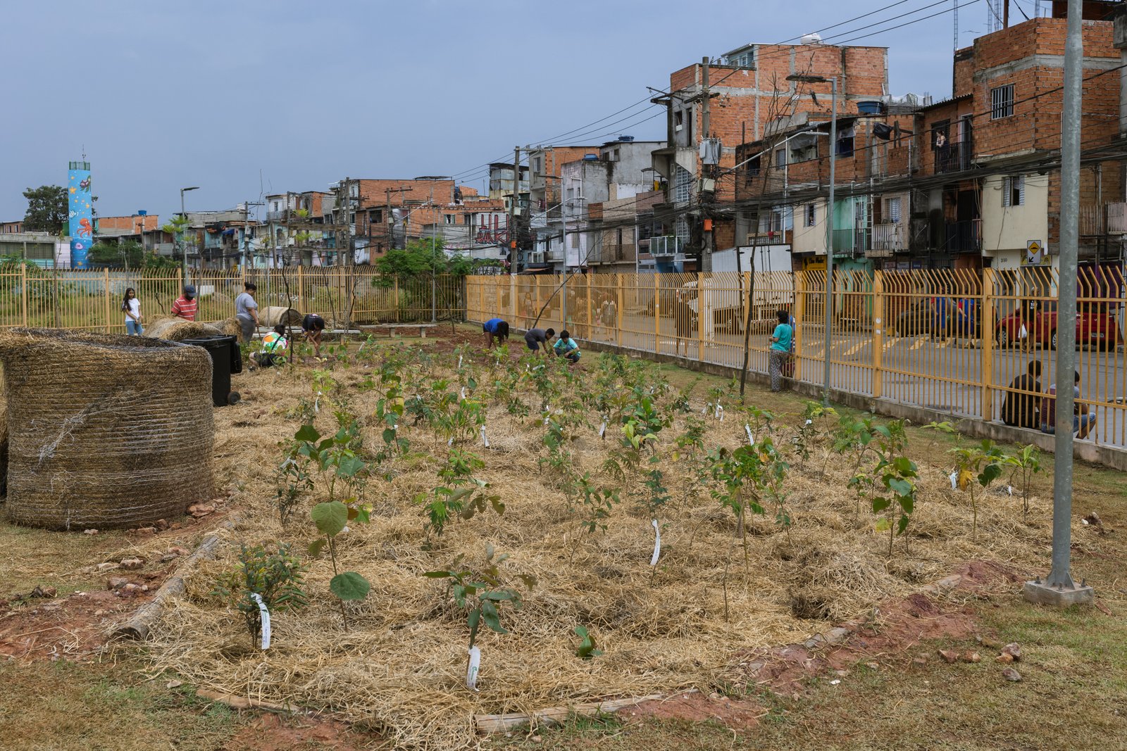 Área de minifloresta comunitária