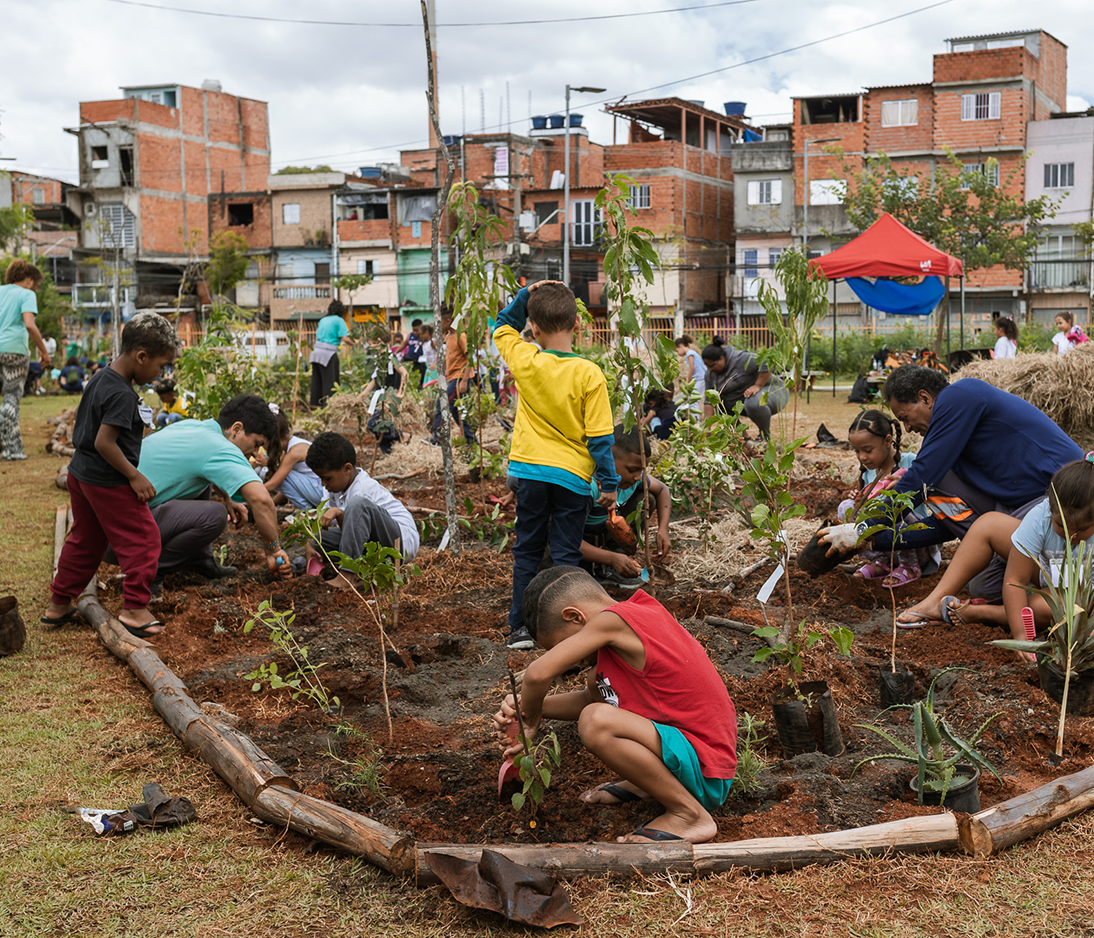 Plantio comunitário de minifloresta